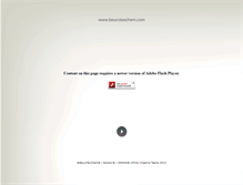 Tablet Screenshot of beurotexchem.com